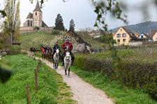 France-Alsace-Alsace Villages